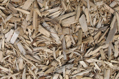 biomass boilers Inchinnan